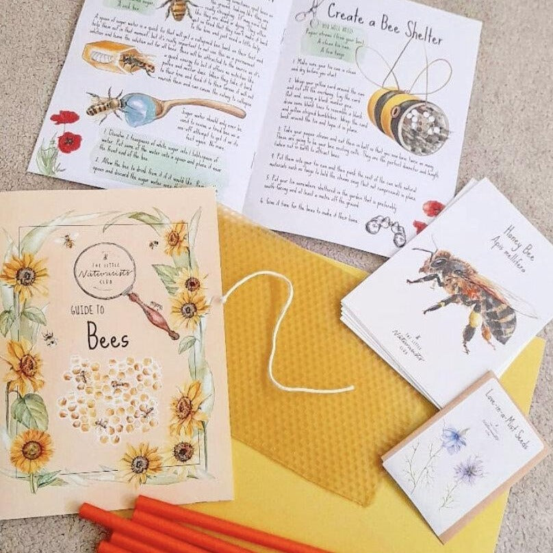 June honey bees nature subscription box