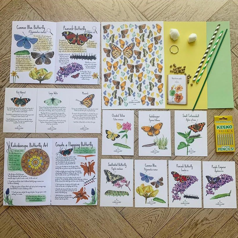 May box caterpillars and butterflies nature subscription box