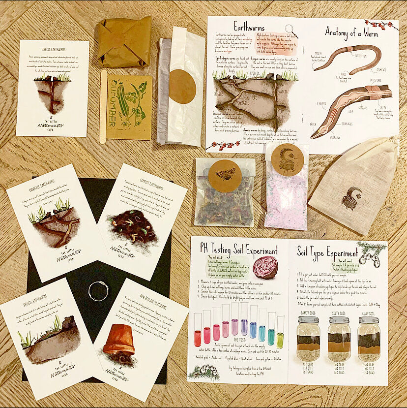 February soil and worms nature subscription box