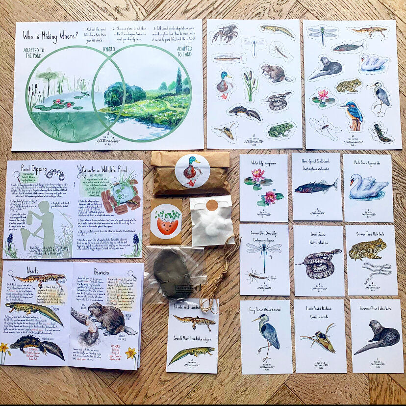 March spring ponds nature subscription box