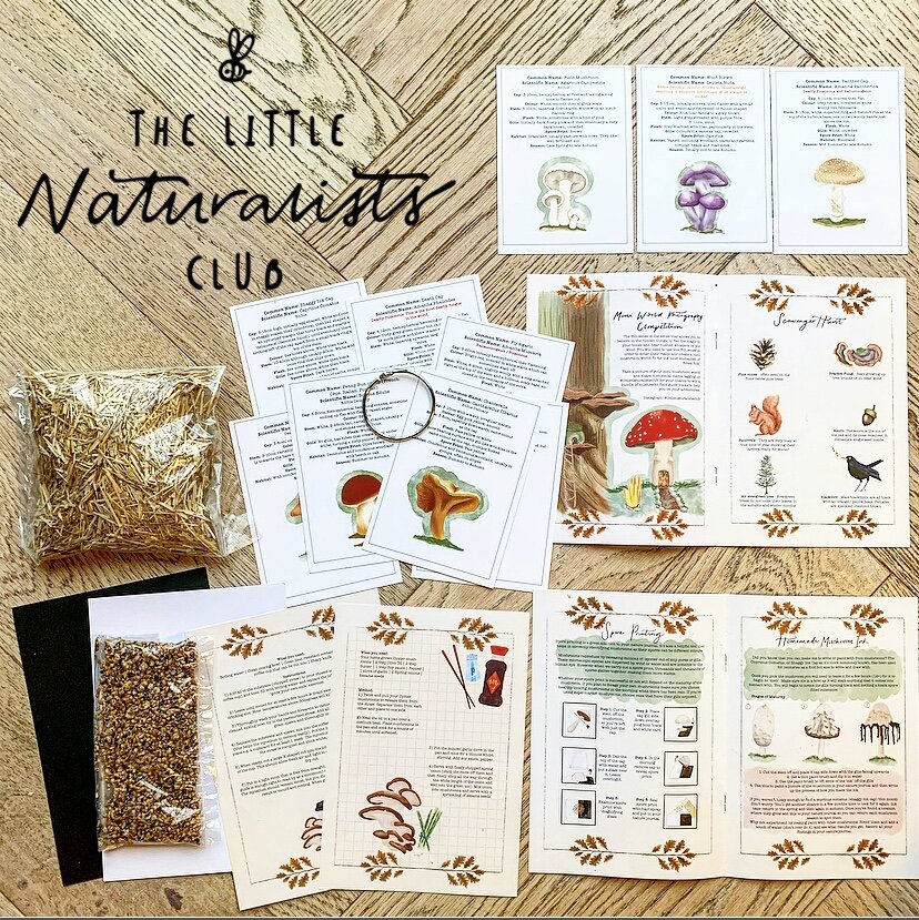November grow your mushrooms nature subscription box