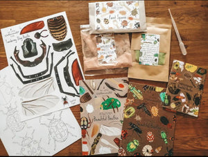 SECONDS SALE May ‘Beautiful Beetles’ Activity Box