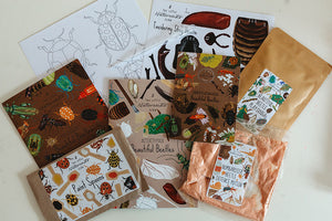 SECONDS SALE May ‘Beautiful Beetles’ Activity Box